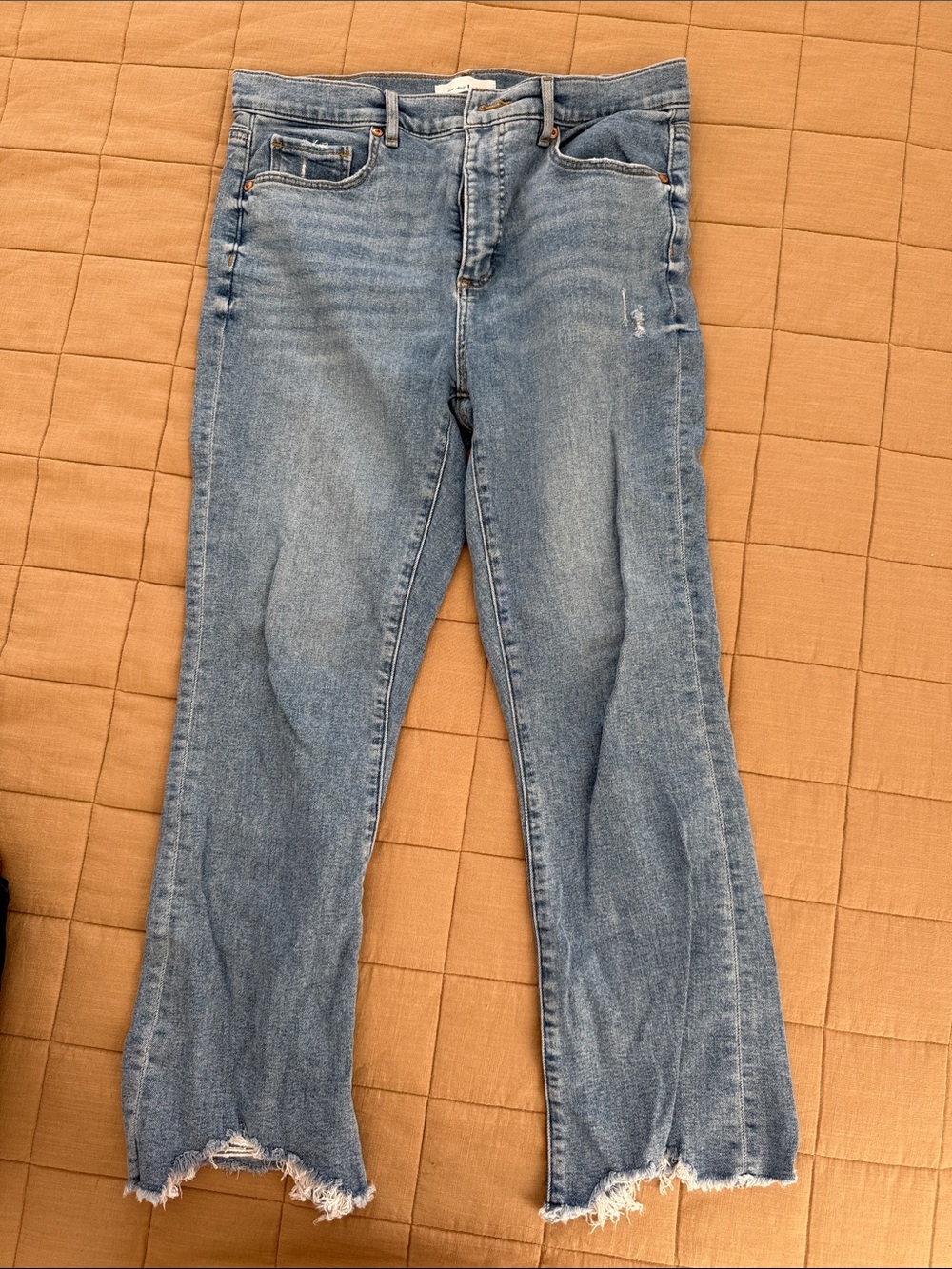LOFT Light Blue Flare Jeans with Distressed Frayed Hem